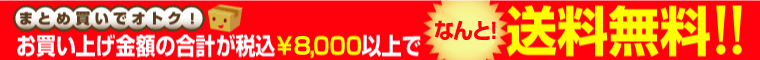 送料無料