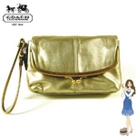 Coach(������) �Хå� �ܥˡ� �쥶�� �顼�� �ꥹ�ȥ�å� ������� 42545